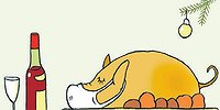 Подложили свинью