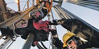 Численность поступления