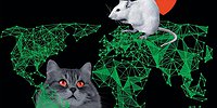 Виртуальные кошки-мышки