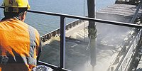 Во весь колос