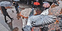 Операция «Стресс»