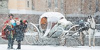 Сноу-сон