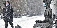 Все под гриппом ходим