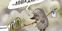Нет пара без огня