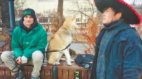 «ЧЁ ПРИЕХАЛ, ЕЗЖАЙ ОБРАТНО!»
