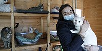 Дом для Барсиков