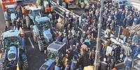 Урожай гнева на Елисейских Полях