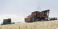 Познать в еде