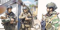 «Птичку» не жалко