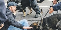 Европа взбунтовалась