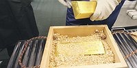 Только по пробам