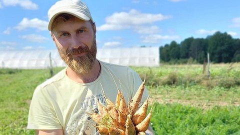 Буренки на удаленке